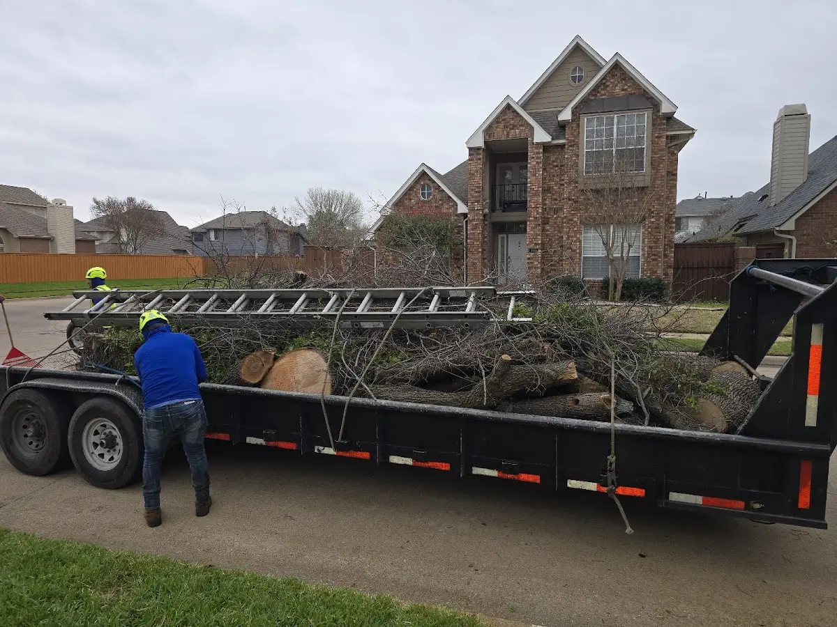 Expert Tree Pest Control with proper safety equipment in Winchester
